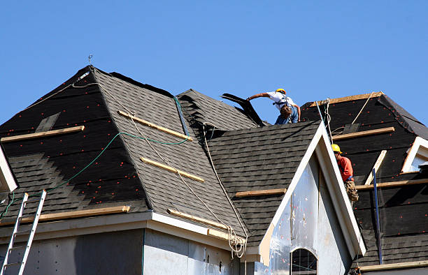 Best Roof Gutter Cleaning  in San Carlos Park, FL