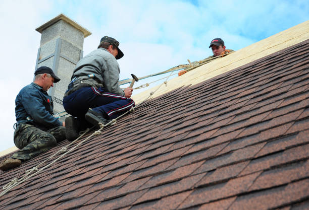 Best Residential Roofing Contractor  in San Carlos Park, FL